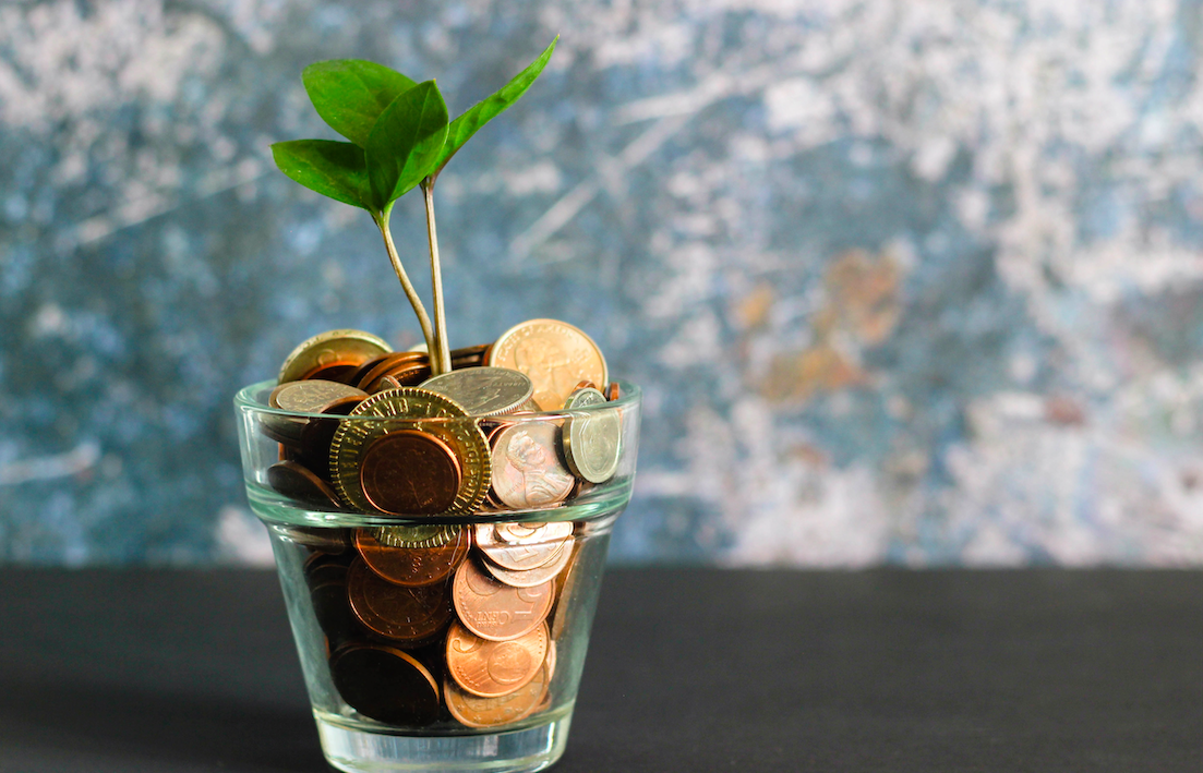 Venture capital: seedling growing from a glass flower pot filled with American coins